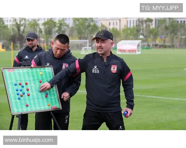 深入分析杭州飞盘队快攻战术的独特魅力与实战应用