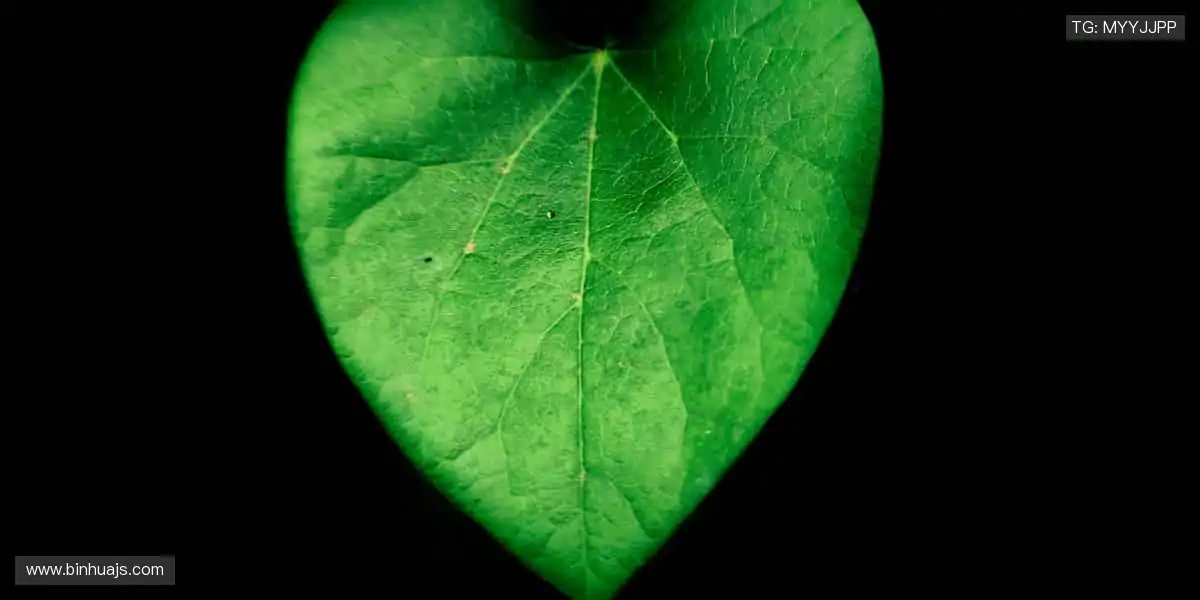 点燃热血时刻，每一场赛事都是心跳的较量！⚽️🔥